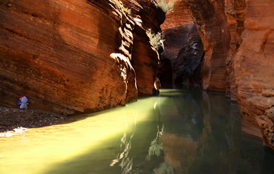 Beautiful emerald green river, carving the landscape of East Zion